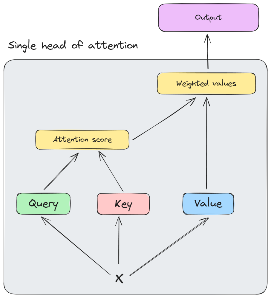 Attention head visualized